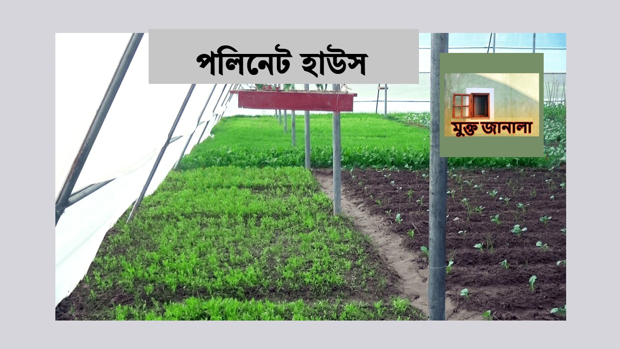 পলিনেট–হাউস