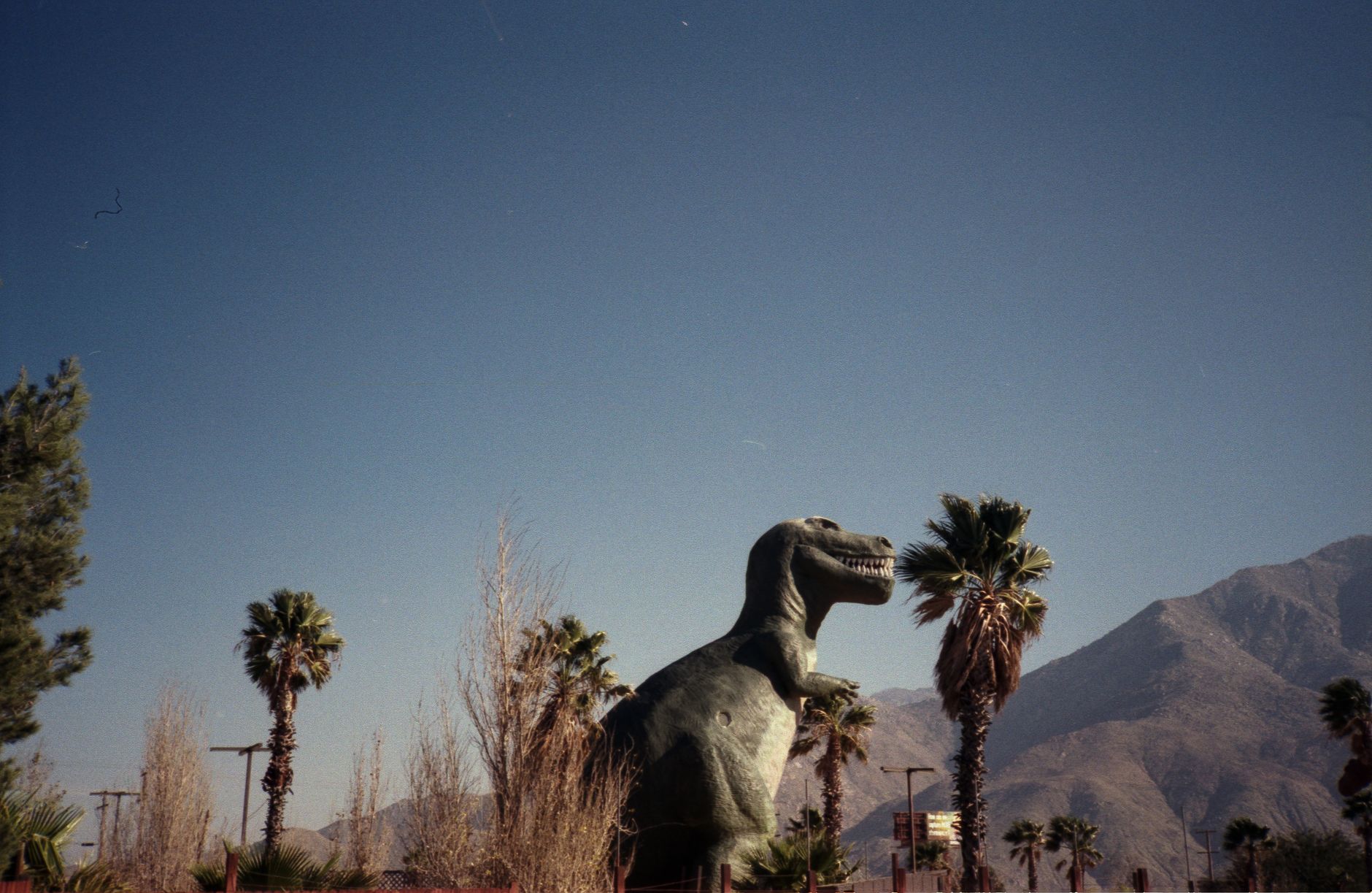 dinosaur statue under the blue sky